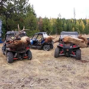 Meet your Posher, Randy